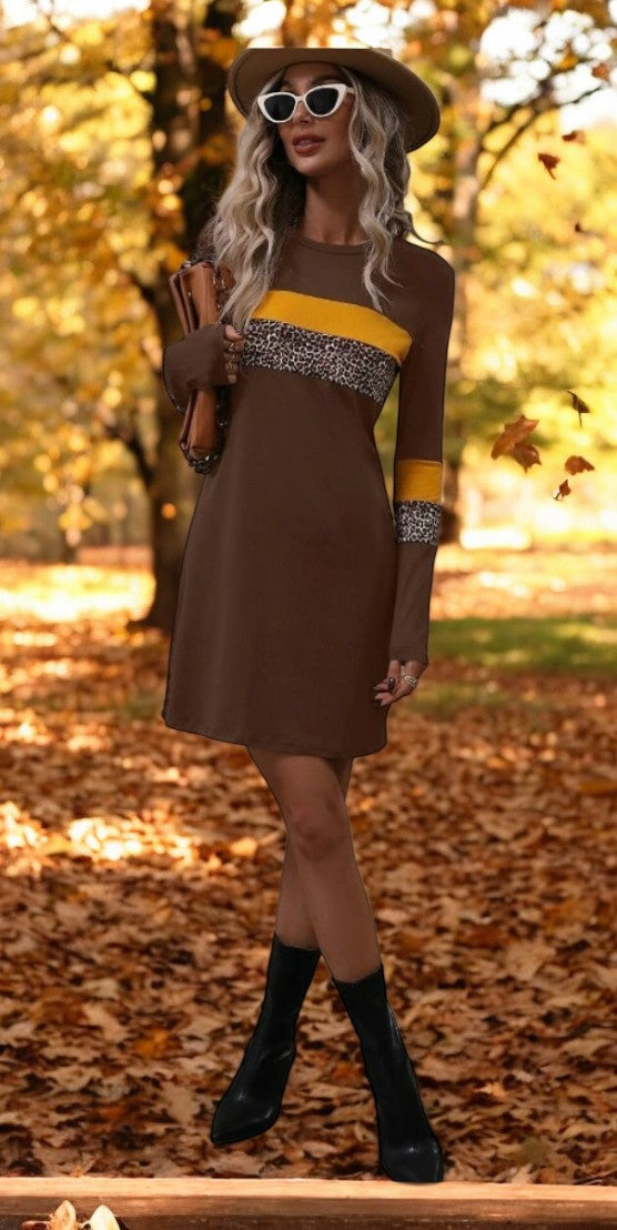 Color Blocked Leopard Print Dress