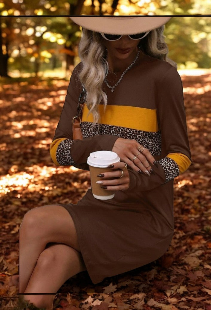 Color Blocked Leopard Print Dress