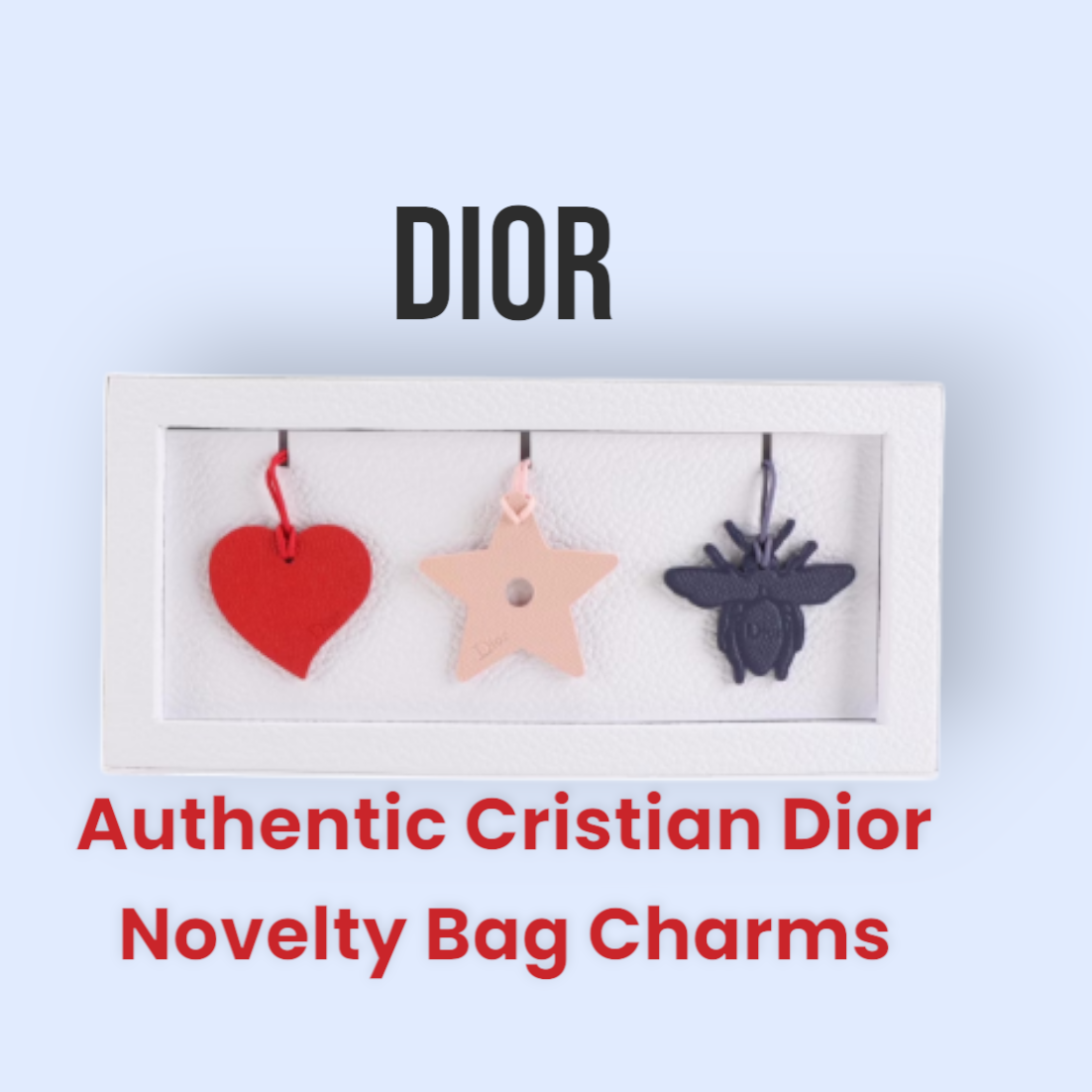 New DIOR "Gift Ready" Leather Bag Charms 3