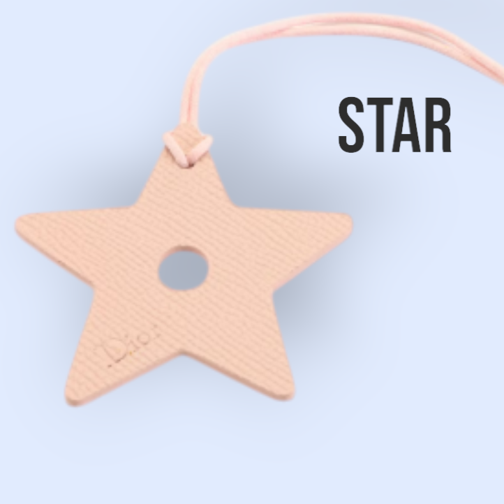 New DIOR "Gift Ready" Leather Bag Charms 3