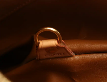 Louis Vuitton Bronze Monogram Vernis Leather Houston Bag